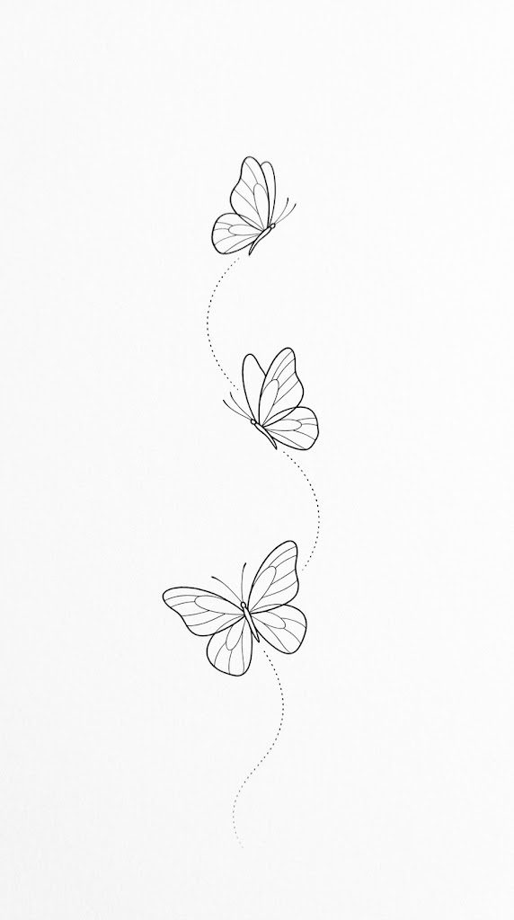 Three butterflies on a curve, fineline